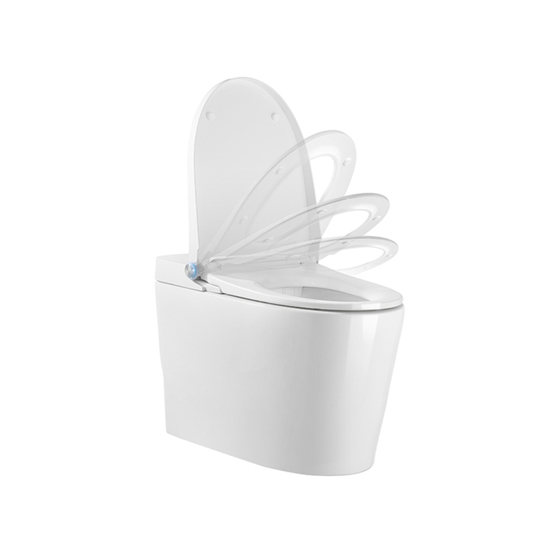 What is a intelligent toilet? 