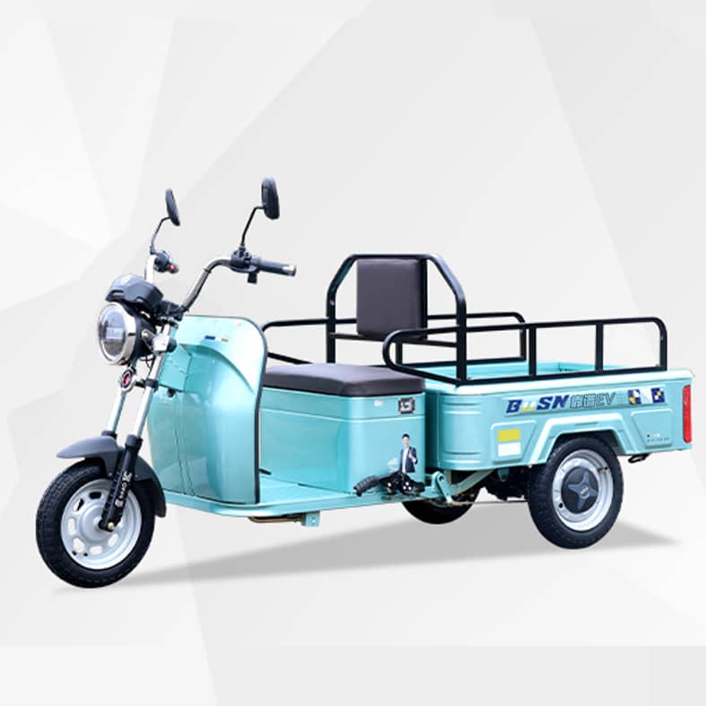 Characteristics of Low Speed Electric Vehicles