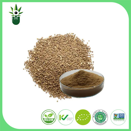 Uses of Cuscuta Seed Extract