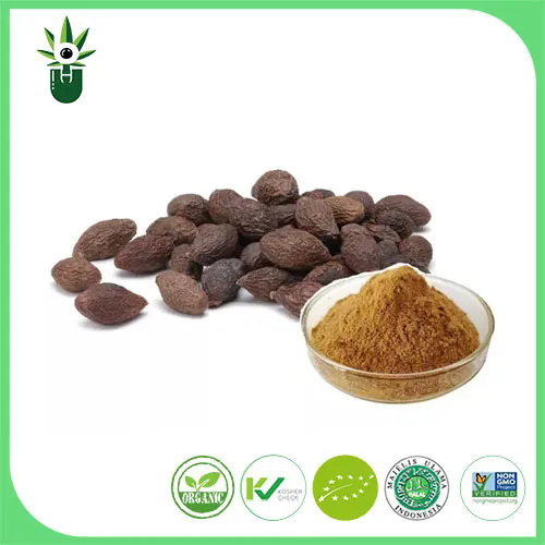 Potential Benefits of Scaphium Scaphigerum Extract
