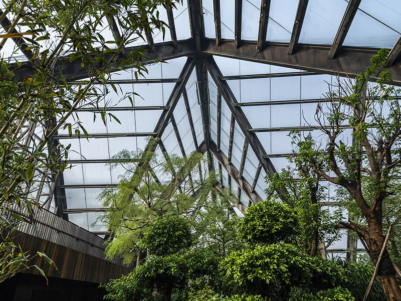 Why Are Steel Frame Buildings the Future of Modern Construction?