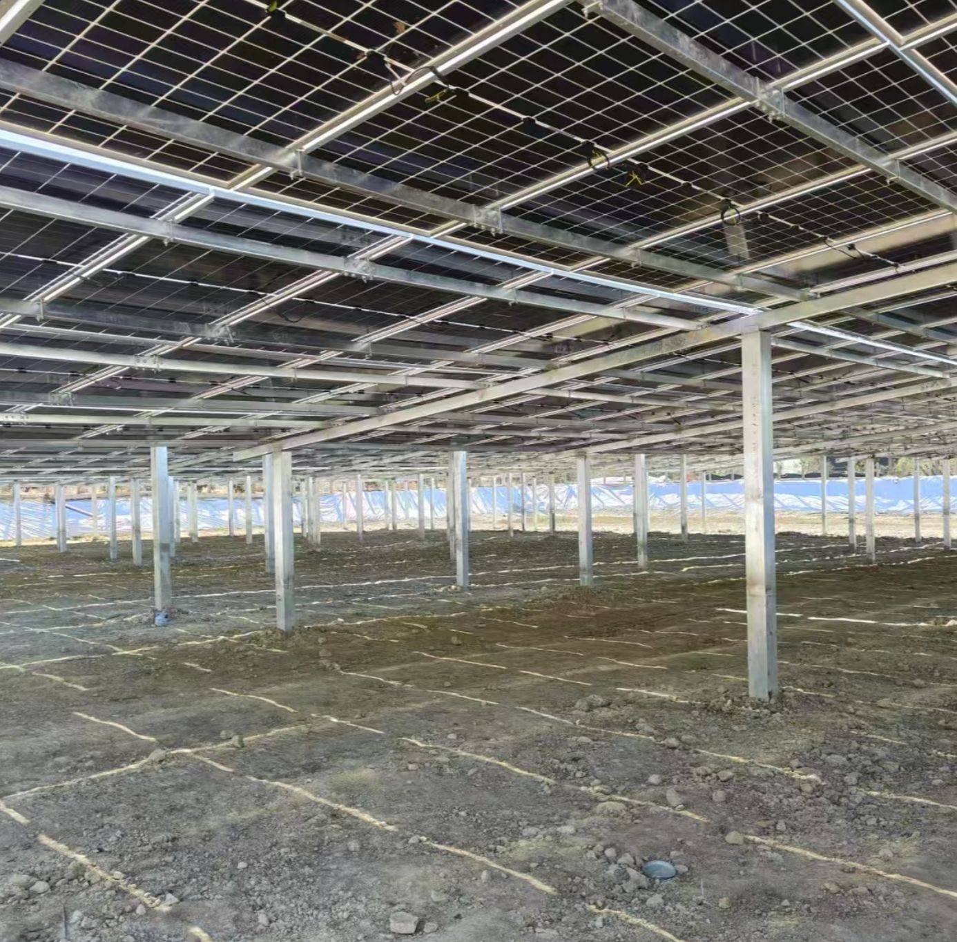Solar Steel Structures in China: The Ultimate Guide to Sustainable Building Solutions