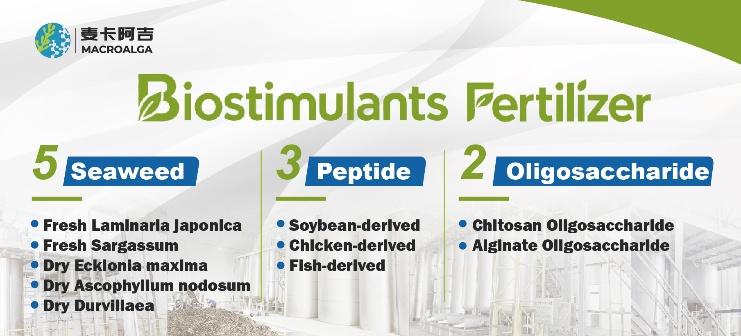 Original China Biostimulant Manufacturer Driving Sustainable Crop Growth
